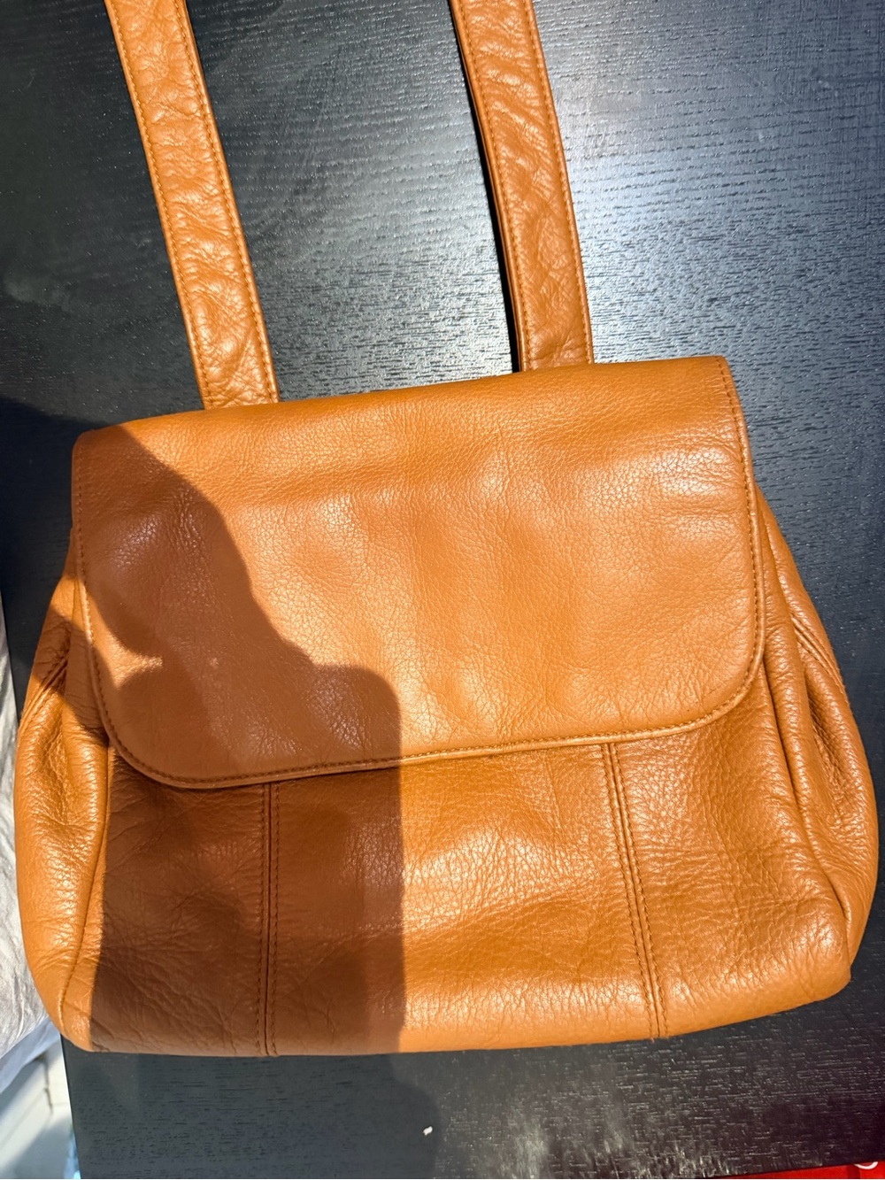 Etienne Aigner Cognac Leather Crossbody Bag